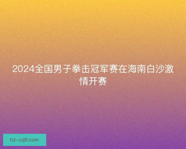 2024全国男子拳击冠军赛在海南白沙激情开赛 2024全国男子拳击冠军赛在海南白沙激情开赛